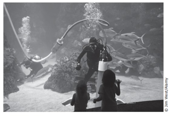 Photograph of a scuba diver working inside a large aquarium tank while children watch fish swim past. Credit: Jim West/Alamy